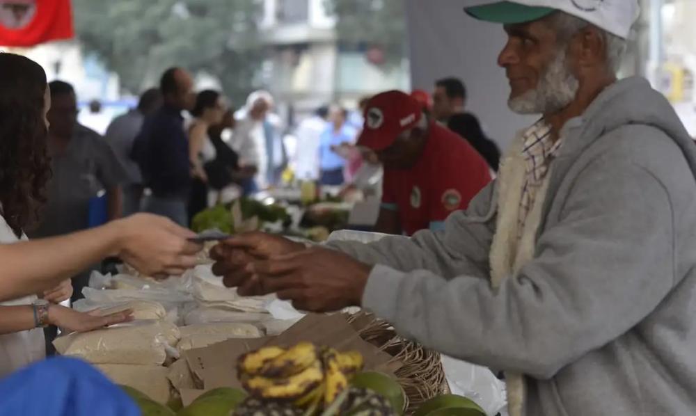 Descontos para produtores da agricultura familiar, por meio do Desenrola Rural, são de até 96%