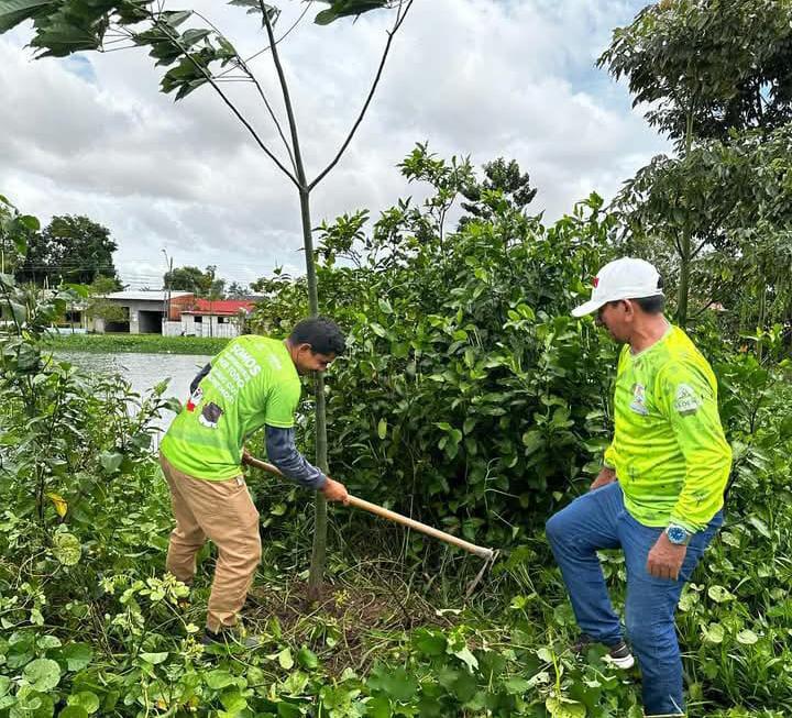 Meio Ambiente: ‘Lagoa Azul’ recebe plantio de mudas da espécie mungubeira