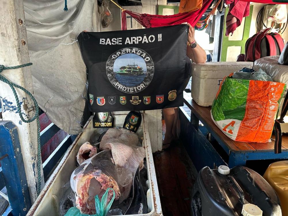 Polícia Militar apreende mais de meia tonelada de pescado protegido pelo Defeso
