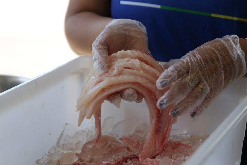 Aparas e espinhas de peixe são reutilizadas para produção de alimentos