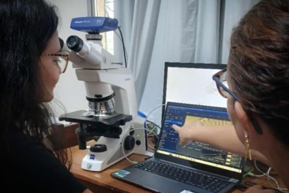 Pesquisa identifica duzentas espécies de microalgas em Parintins