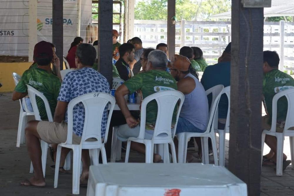Leilão de Nossa Senhora do Carmo retorna neste ano com mais de 30 animais