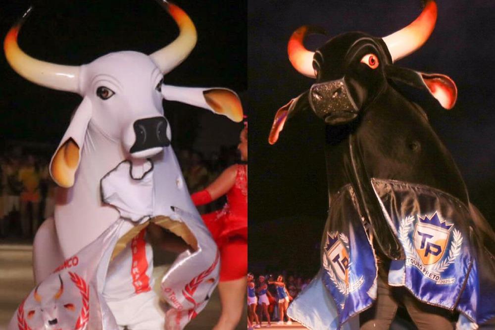 Touros de Barreirinha se apresentam neste sábado, no Largo de São Sebastião, em Manaus