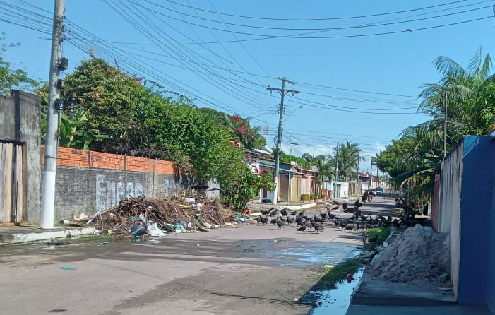 Secretaria de Limpeza deve iniciar nesta segunda-feira recolhimento de entulhos deixado após serviço de capina