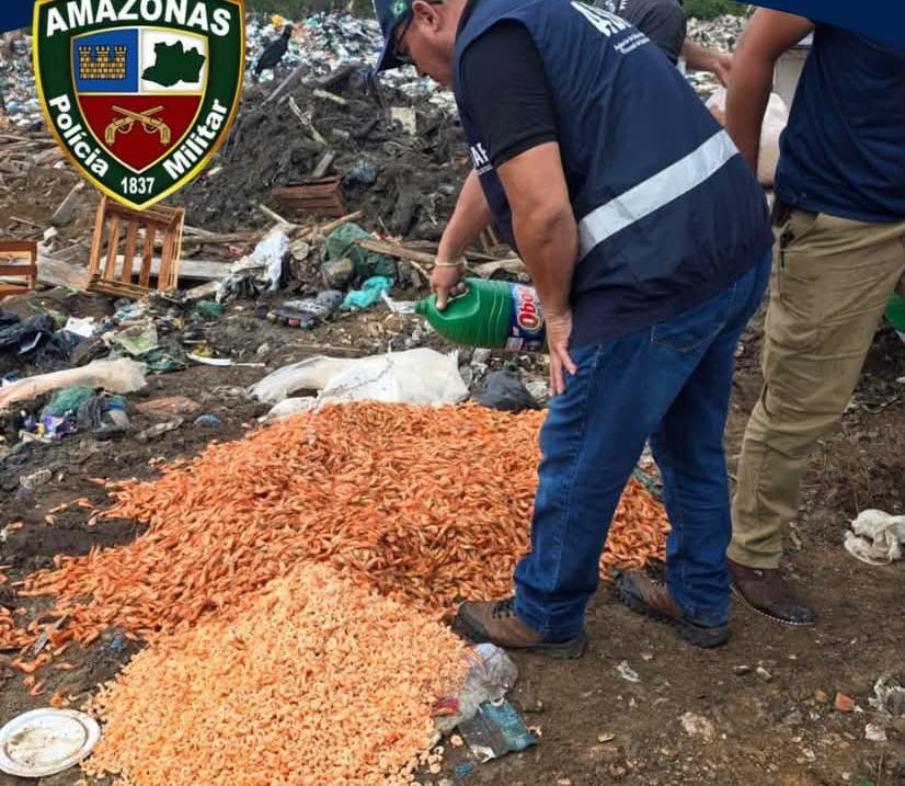 Fiscais da Adaf concluem força tarefa com apreensão de camarões e laranjas impróprios para consumo em Parintins