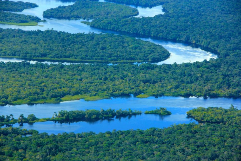 Focos de calor no Amazonas caem ao nível mais baixo desde 2011