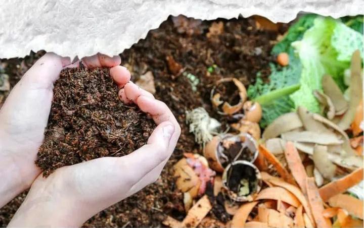 Paróquia de Nossa Senhora de Lourdes realiza oficina de compostagem neste sábado (13)