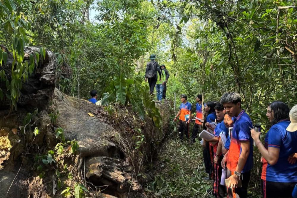 Alunos da Escola Tomaszinho Meireles participam de trilha ambiental no Parque das Castanheiras